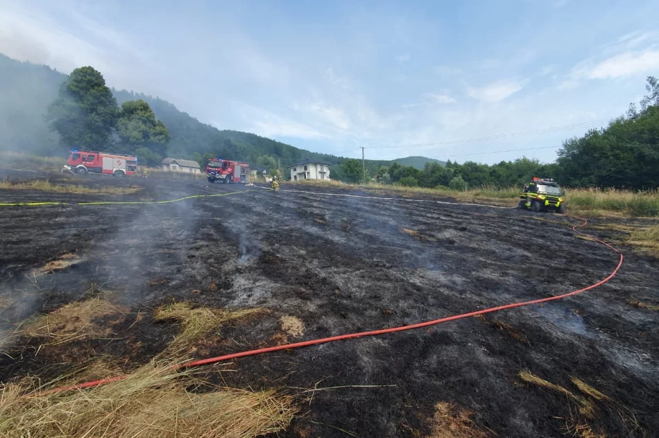 Pożar traw: poparzona osoba trafiła do szpitala - zdjęcie 5