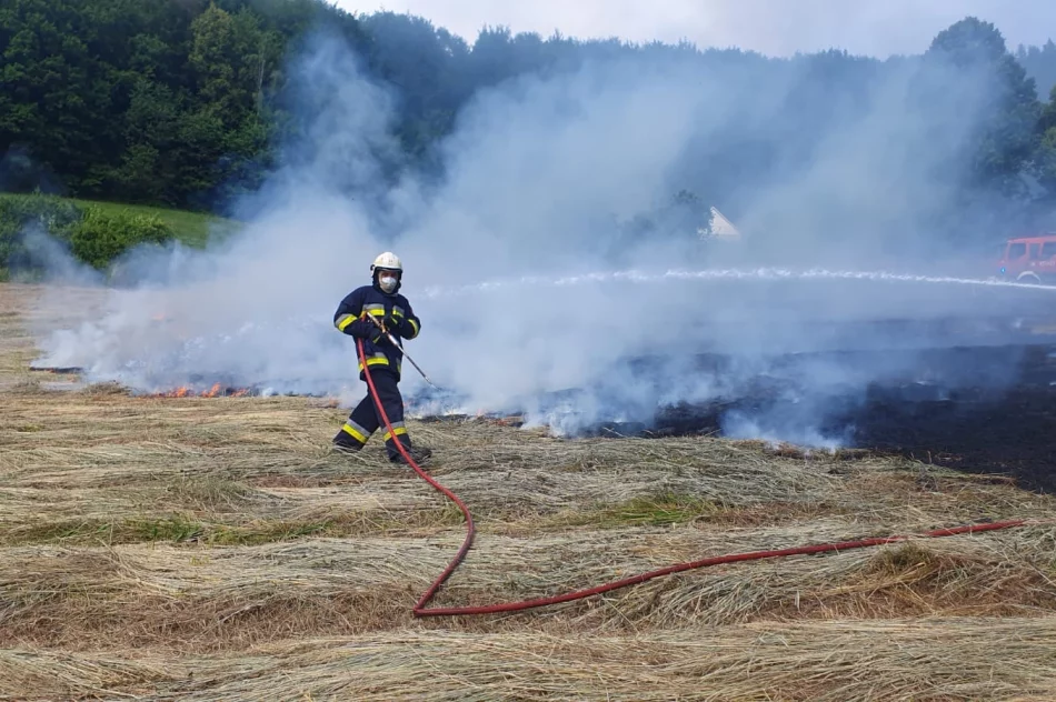 Pożar traw: poparzona osoba trafiła do szpitala - zdjęcie 6