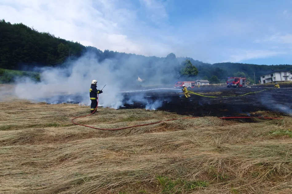 Pożar traw: poparzona osoba trafiła do szpitala - zdjęcie 7