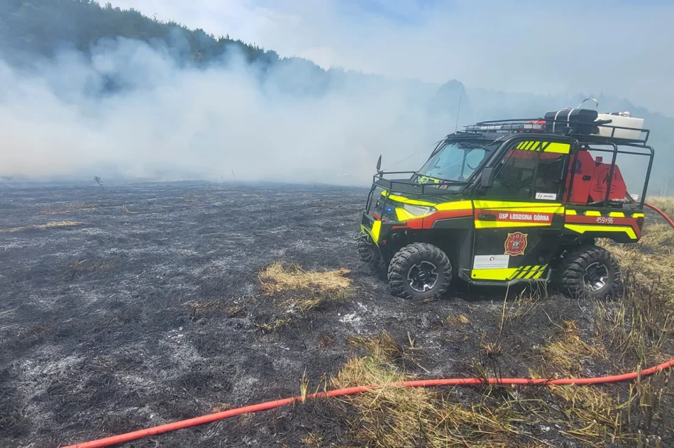 Pożar traw: poparzona osoba trafiła do szpitala - zdjęcie 9