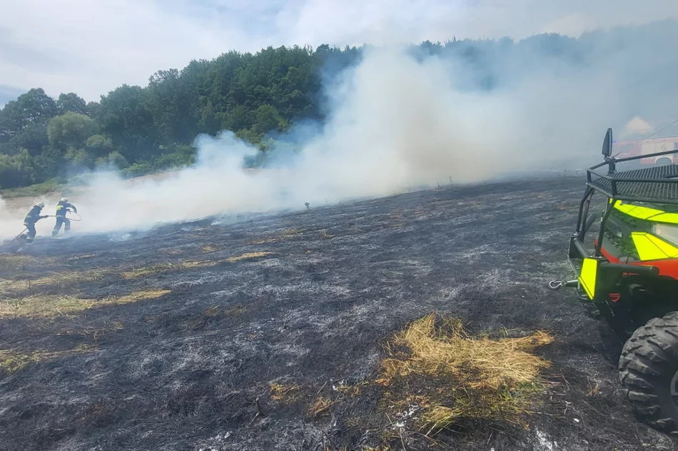 Pożar traw: poparzona osoba trafiła do szpitala - zdjęcie 10
