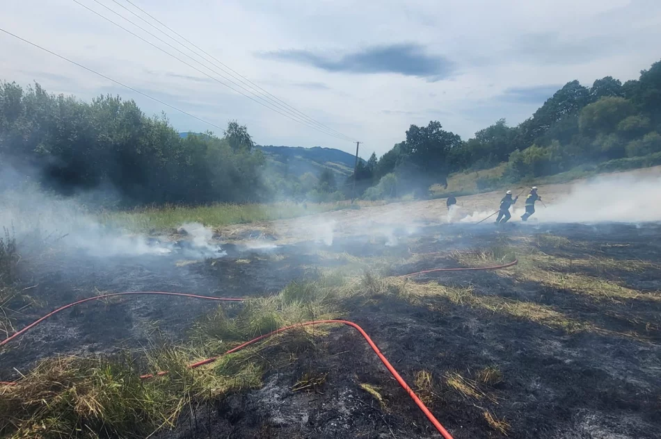 Pożar traw: poparzona osoba trafiła do szpitala - zdjęcie 11