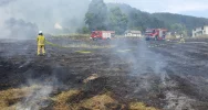 Mandat za pożar traw, poparzona kobieta wyszła ze szpitala - zdjęcie 3