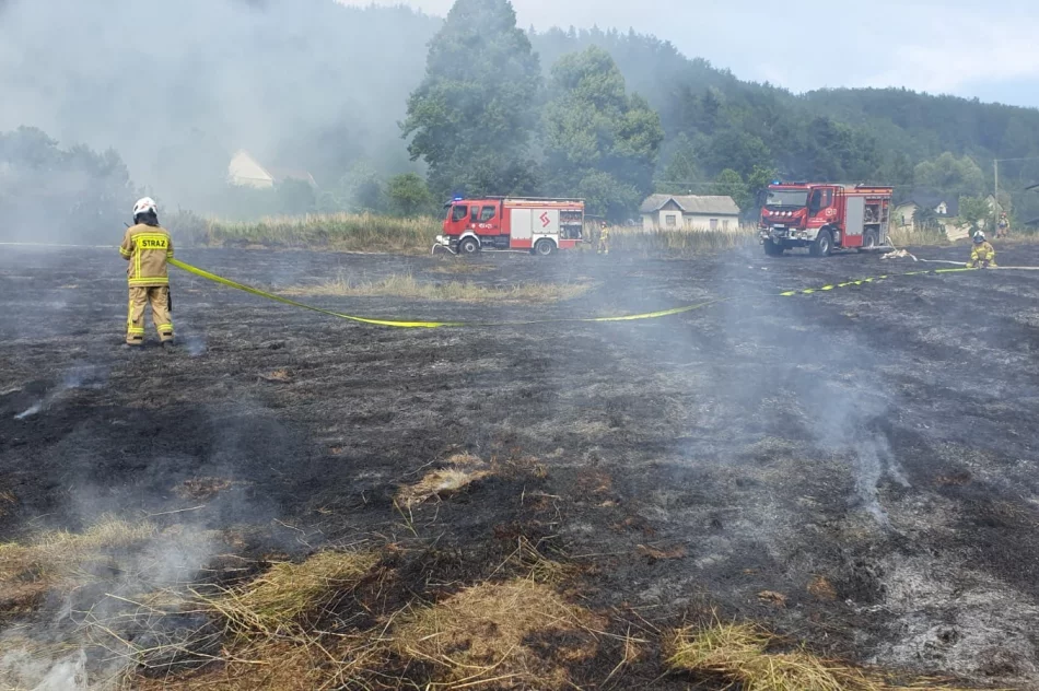 Pożar traw: poparzona osoba trafiła do szpitala - zdjęcie 12