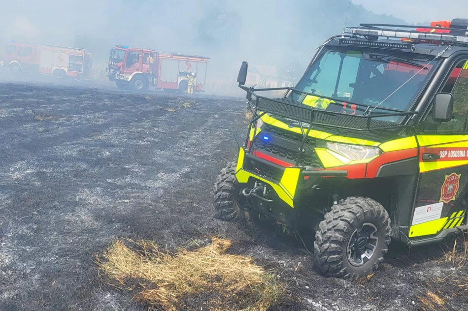 Pożar traw: poparzona osoba trafiła do szpitala - zdjęcie 13