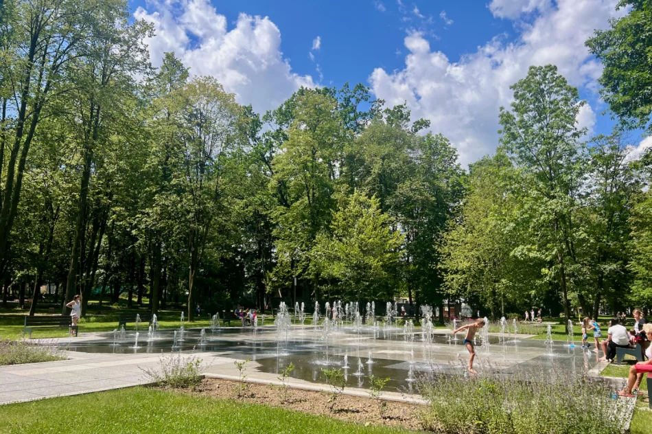 Nie posłuchała - głupota kosztowała ponad 60 tys. zł - zdjęcie 3