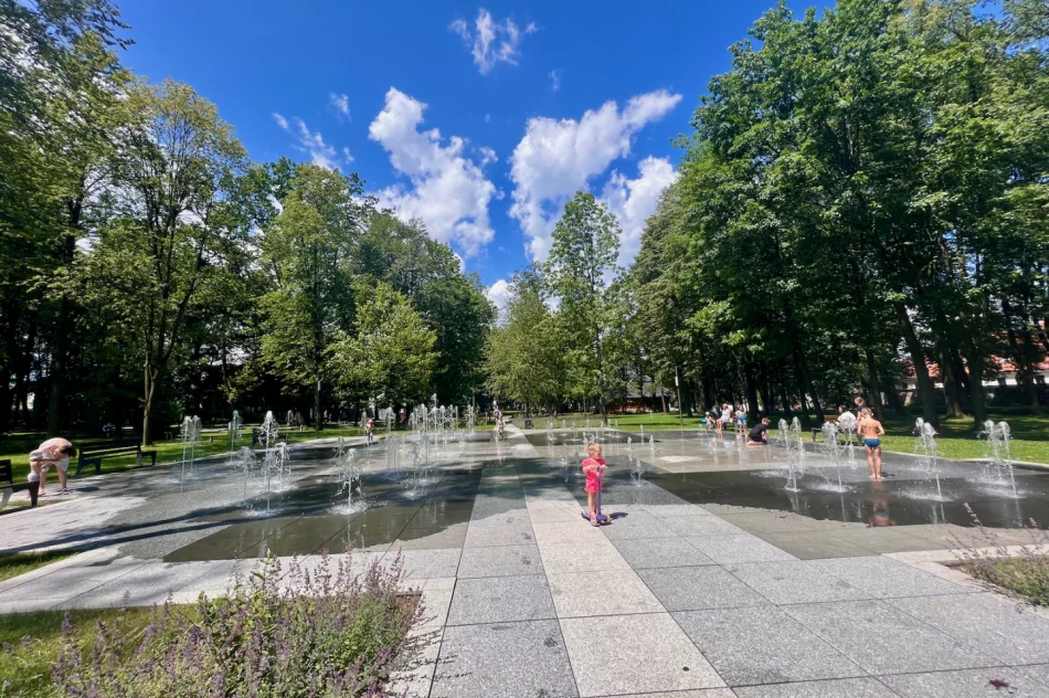 Nie posłuchała - głupota kosztowała ponad 60 tys. zł - zdjęcie 5