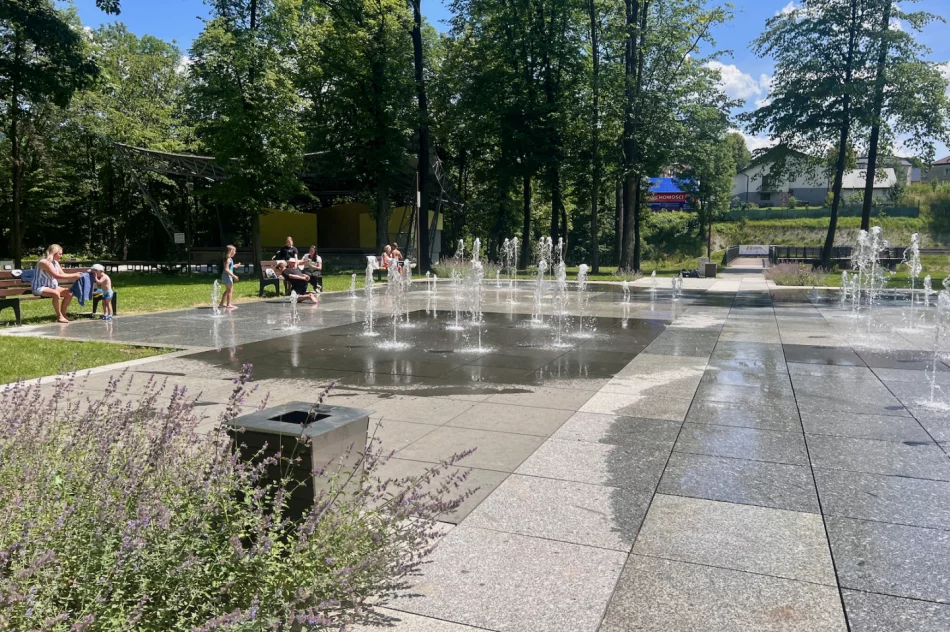 Nie posłuchała - głupota kosztowała ponad 60 tys. zł - zdjęcie 8