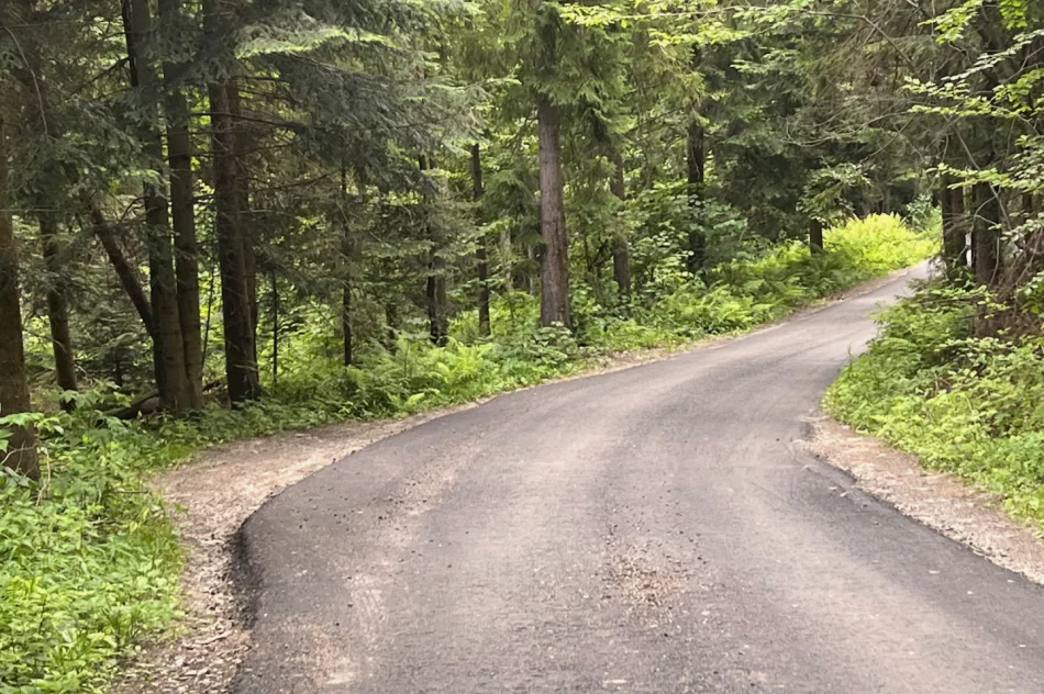 Nowy asfalt rozsypuje się pod nogami. Spłynie z deszczem - zdjęcie 9