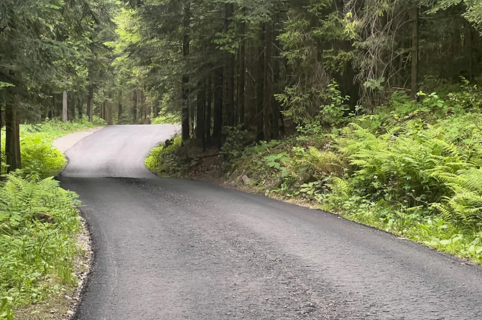 Nowy asfalt rozsypuje się pod nogami. Spłynie z deszczem - zdjęcie 15