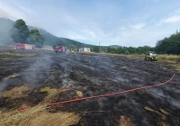 Mandat za pożar traw, poparzona kobieta wyszła ze szpitala - zdjęcie główne