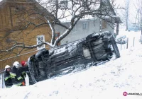 Zatrzymał się na drzewie. Ślisko! - zdjęcie główne