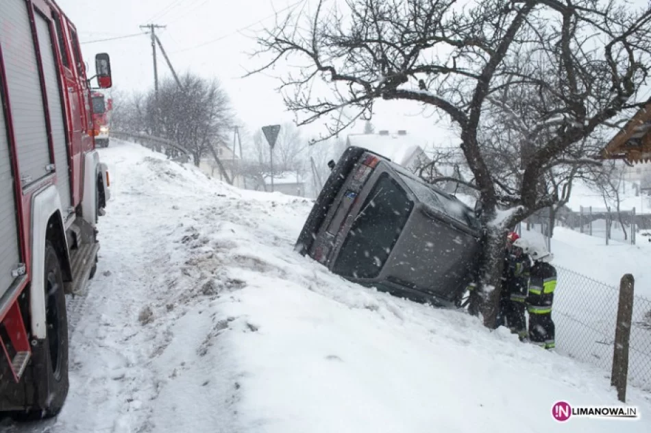Zatrzymał się na drzewie. Ślisko! - zdjęcie 2