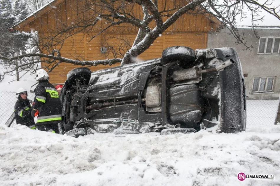 Zatrzymał się na drzewie. Ślisko! - zdjęcie 3