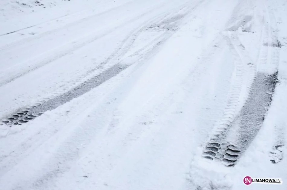 Zatrzymał się na drzewie. Ślisko! - zdjęcie 4