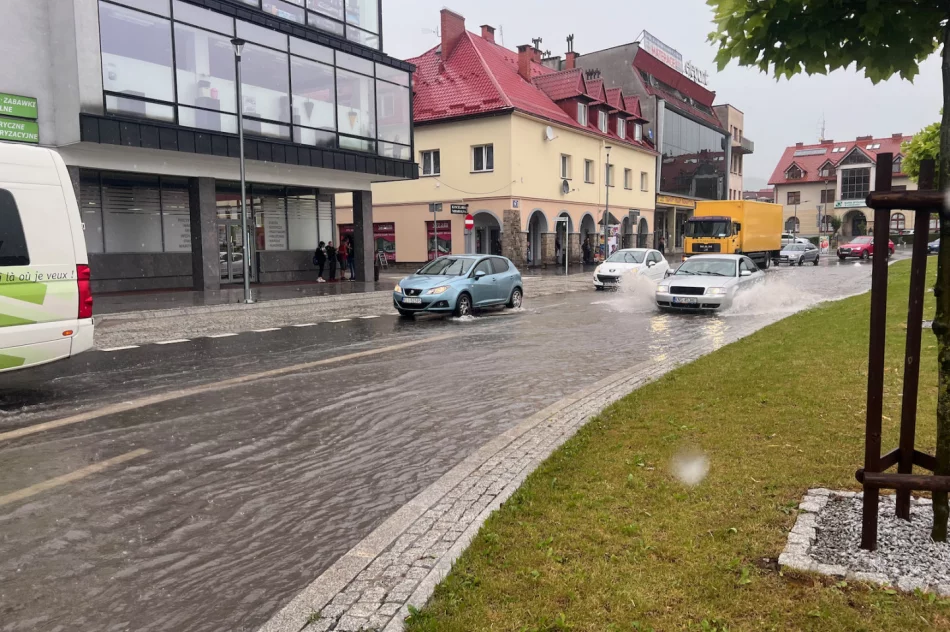 Kilkanaście interwencji po jednej burzy - zdjęcie 8