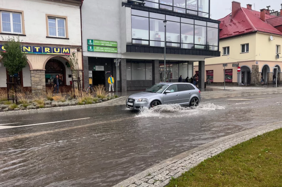 Kilkanaście interwencji po jednej burzy - zdjęcie 3
