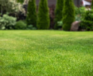 Felieton PAPA: Cisza - zdjęcie główne