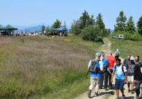 Turyści spotkali się na Ćwilinie  - zdjęcie główne
