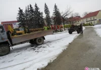 18 metrów wysokości i 1000 kwiatów - zdjęcie główne