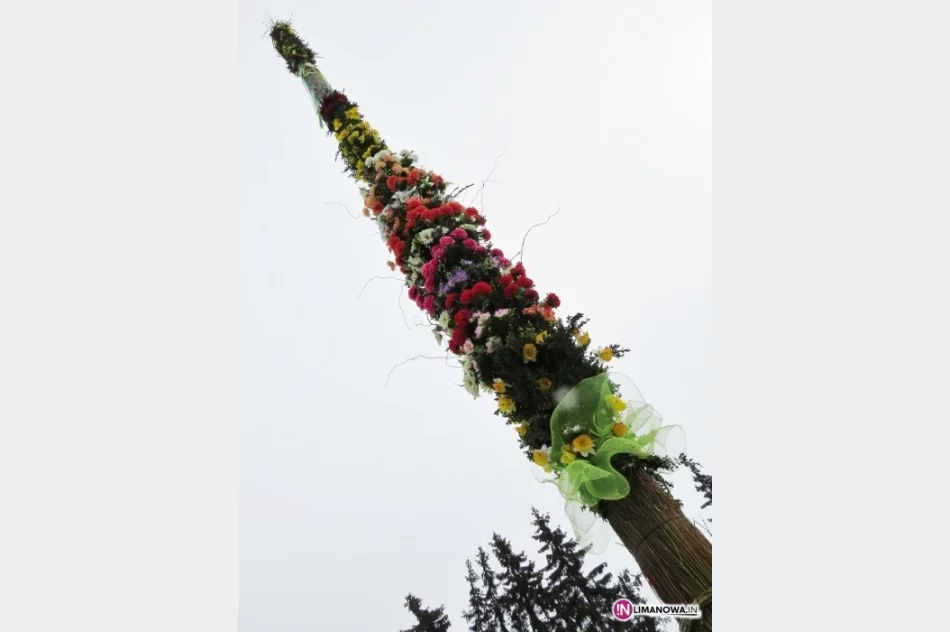 18 metrów wysokości i 1000 kwiatów - zdjęcie 3