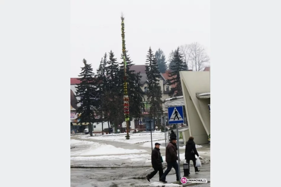 18 metrów wysokości i 1000 kwiatów - zdjęcie 4