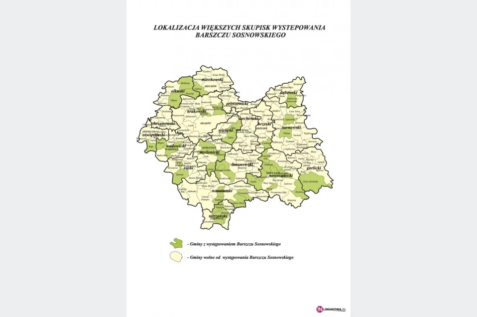 1,6 mln euro na zwalczanie barszczu - zdjęcie 2