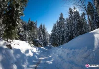 Sytuacja została szybko opanowana - zdjęcie główne