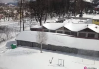 Oświadczenie Zarządu Wspólnoty - zdjęcie główne