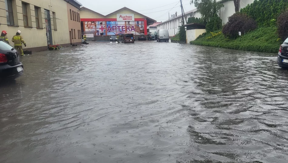 Kilkanaście interwencji po jednej burzy - zdjęcie 1