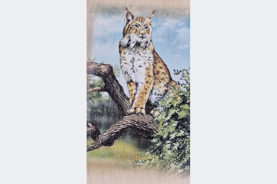 Kolejny szlak na mapie Beskidu Wyspowego-Góra Kamionna - zdjęcie 3