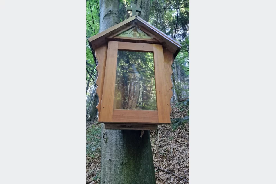 Kolejny szlak na mapie Beskidu Wyspowego-Góra Kamionna - zdjęcie 10