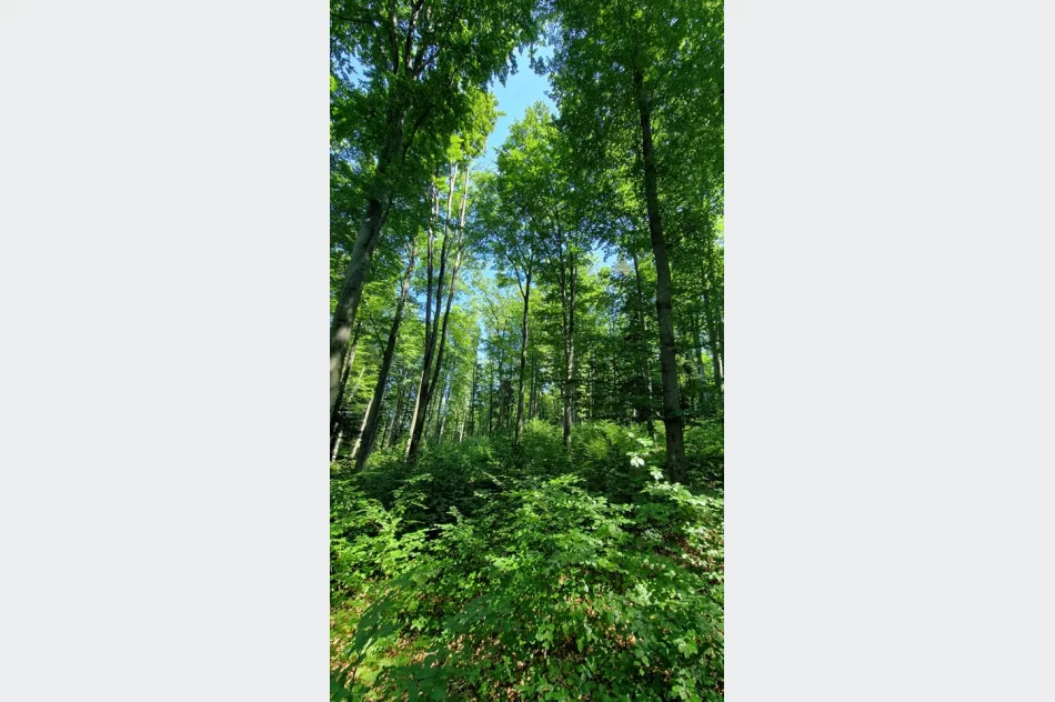 Kolejny szlak na mapie Beskidu Wyspowego-Góra Kamionna - zdjęcie 11