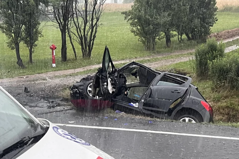 Wypadek w Dobrej: 4 ranne osoby trafiły do szpitala - zdjęcie 4