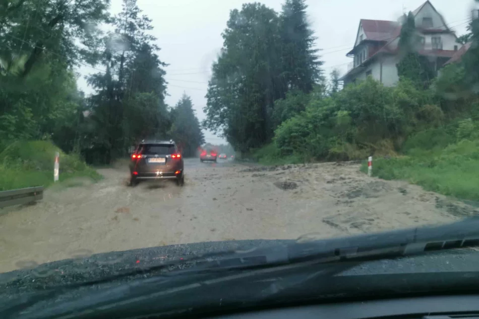 Zalane domy, zniszczone drogi i mosty. Ponad 40 interwencji po burzach - zdjęcie 11