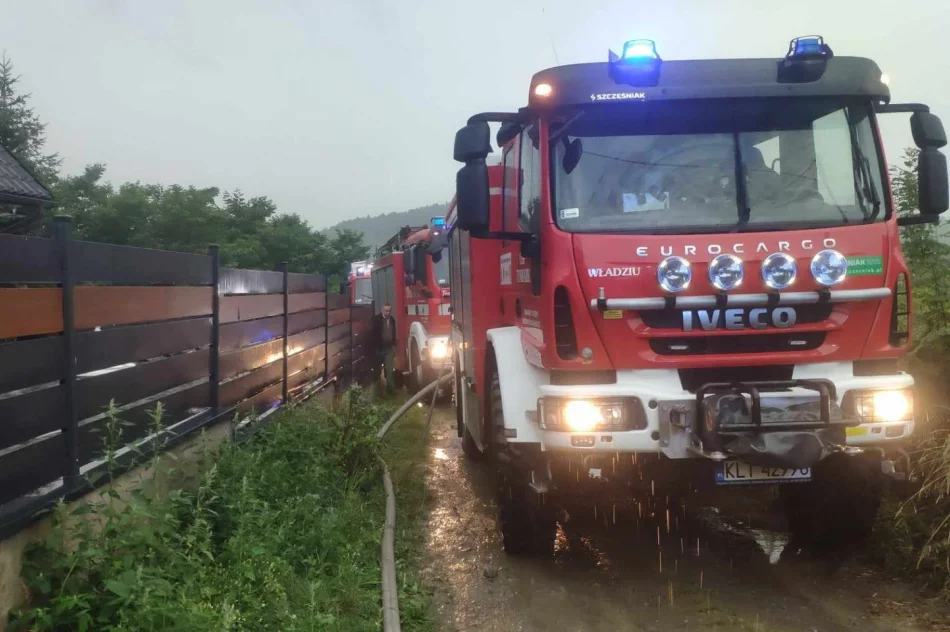 Uderzenie pioruna przyczyną pożaru - zdjęcie 2