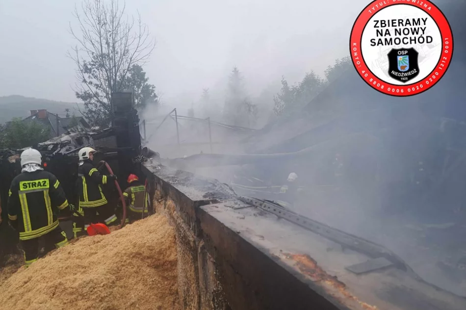 Spłonęło 180 kur i wyposażenie stolarni - zdjęcie 6