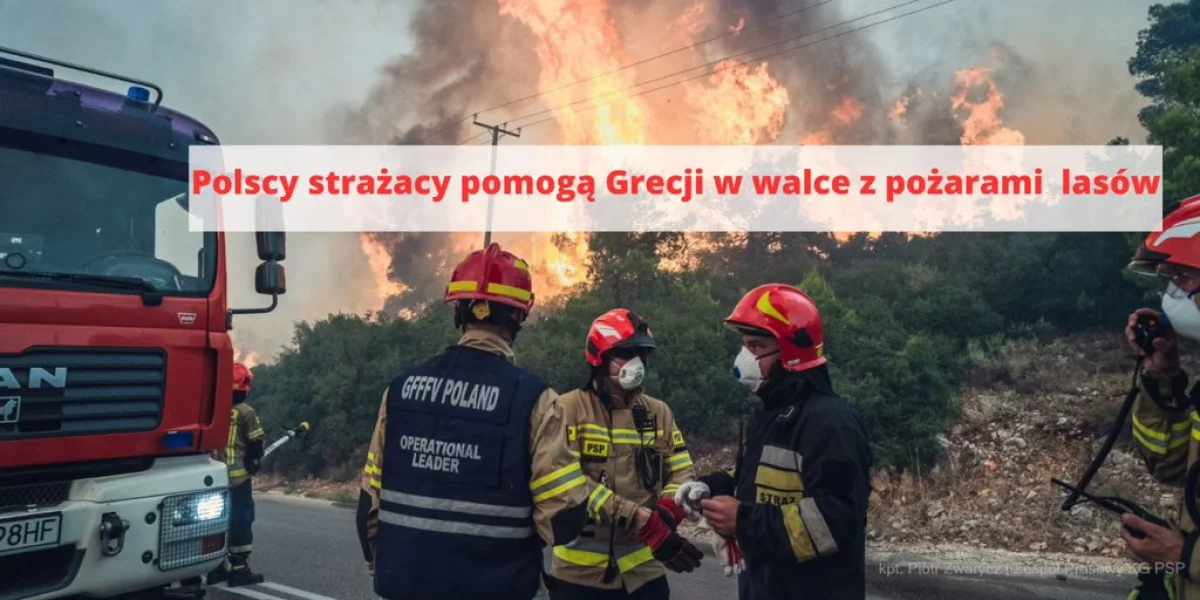 Strażacy wyruszą gasić pożary lasów w Grecji