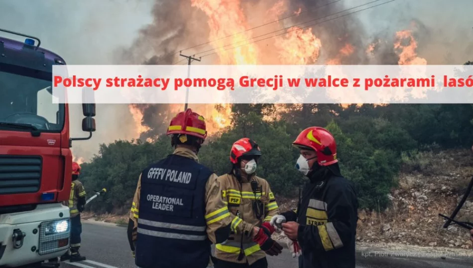 Strażacy wyruszą gasić pożary lasów w Grecji - zdjęcie 1
