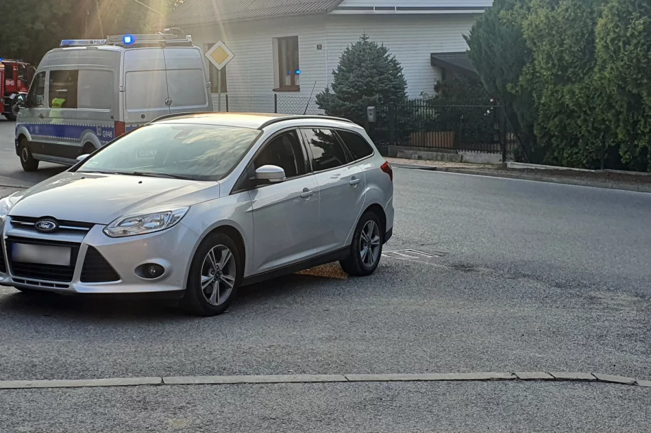 17-latek w stanie zagrażającym życiu zabrany przez LPR - zdjęcie 2