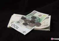 Włamanie do sklepu - 21 tys. zł strat - zdjęcie główne