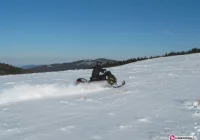 Kierowcy skuterów zatrzymani przez GPN - zdjęcie główne