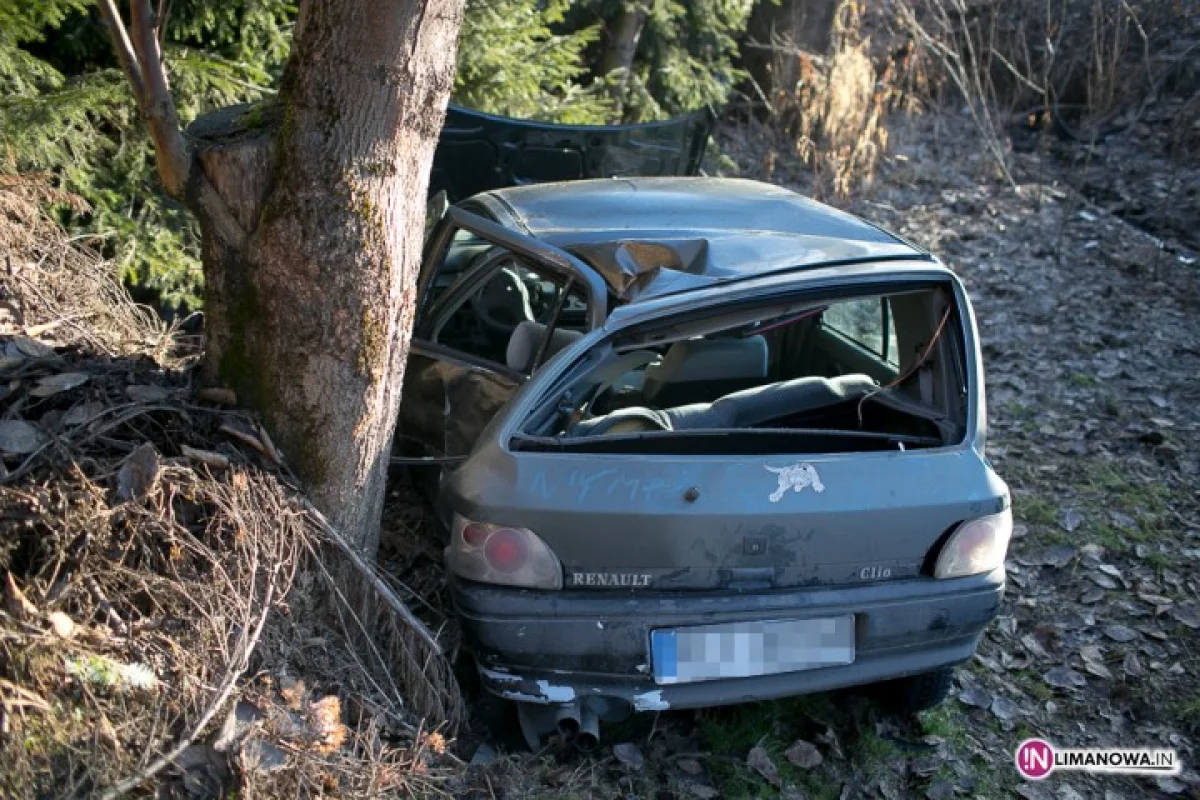 Renault w powietrzu uderzyło w drzewo