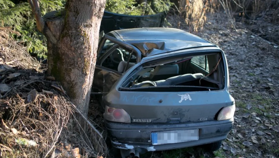 Renault w powietrzu uderzyło w drzewo - zdjęcie 1