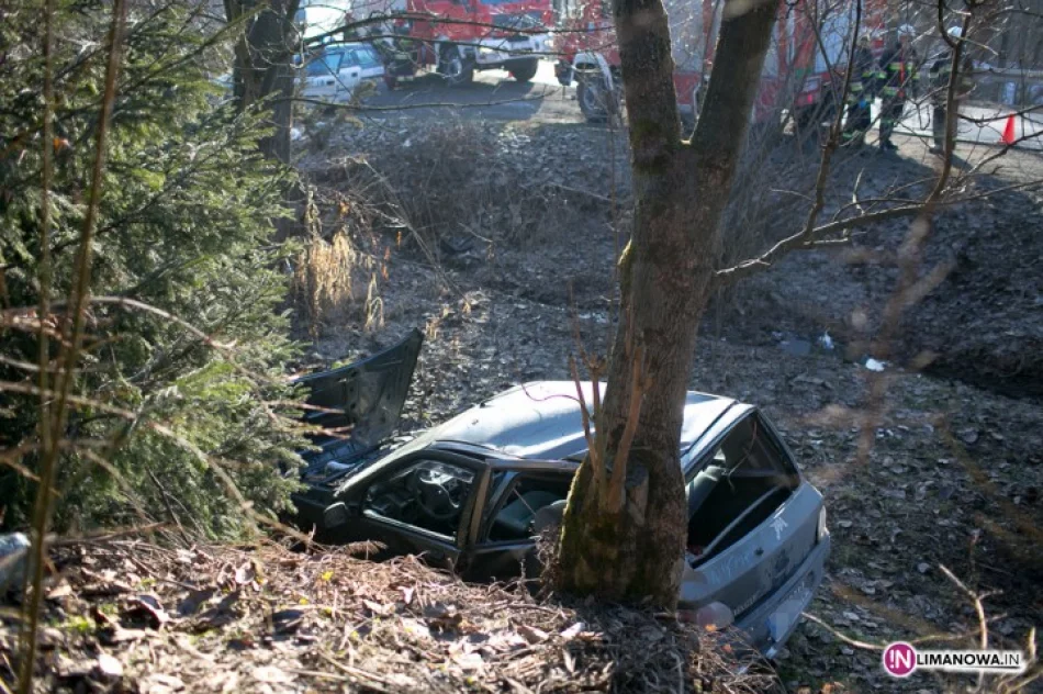 Renault w powietrzu uderzyło w drzewo - zdjęcie 2