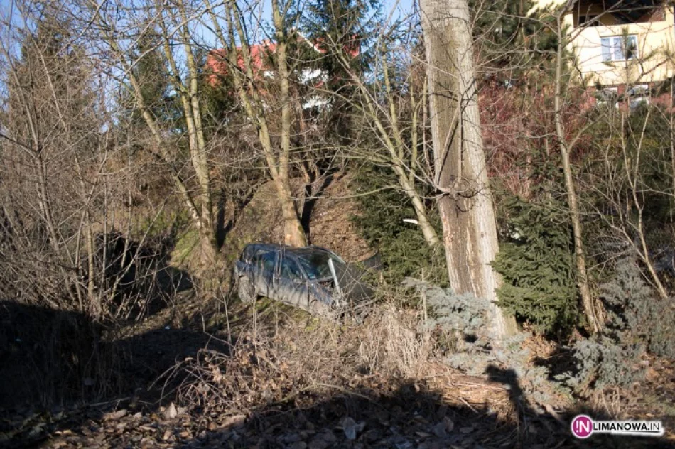 Renault w powietrzu uderzyło w drzewo - zdjęcie 3