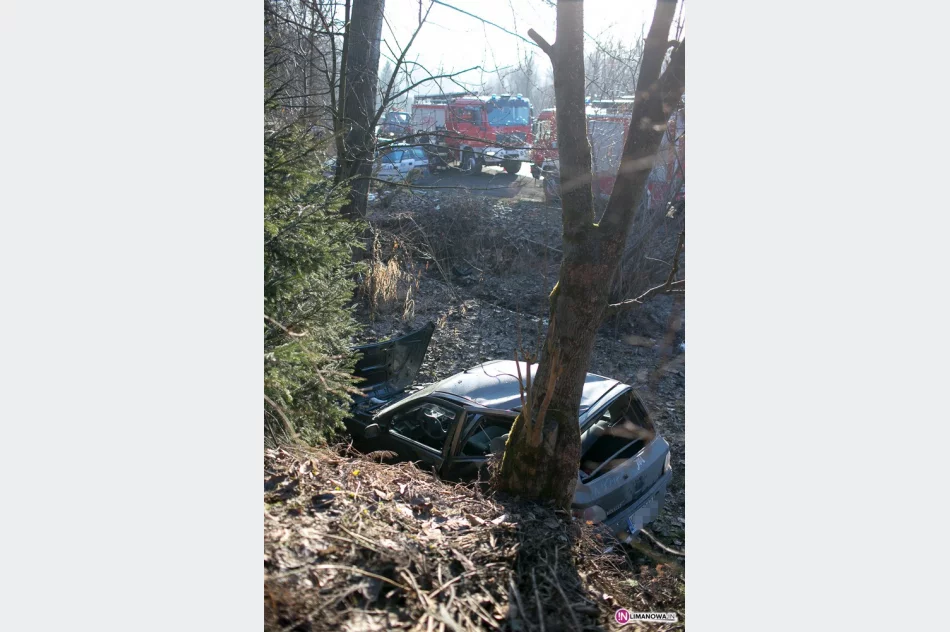 Renault w powietrzu uderzyło w drzewo - zdjęcie 4