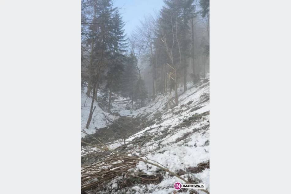 Ujęcie zanieczyścili drwale - zdjęcie 3