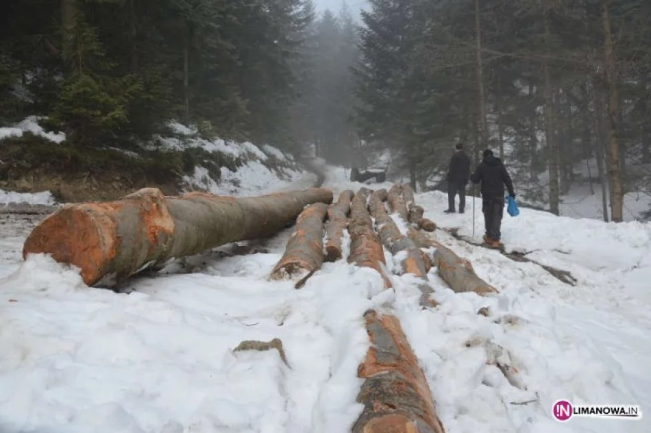 Ujęcie zanieczyścili drwale - zdjęcie 4