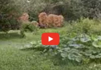 Huk przy domach w pobliżu strzelnicy - zobacz nagranie - zdjęcie główne